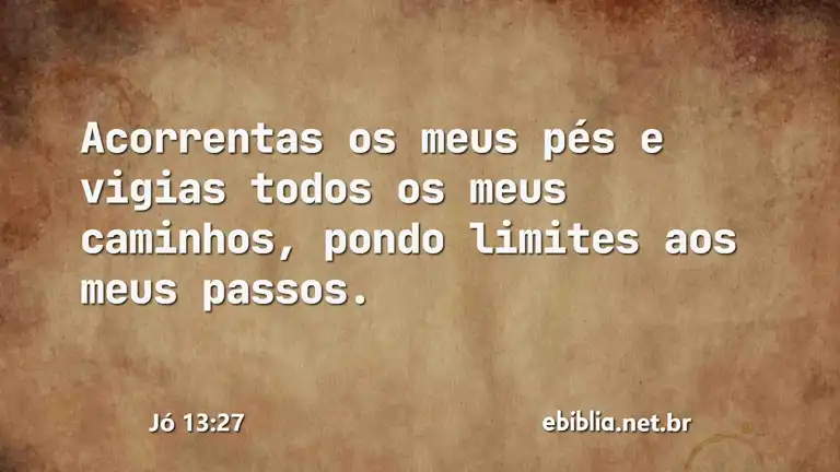 Jó 13:27