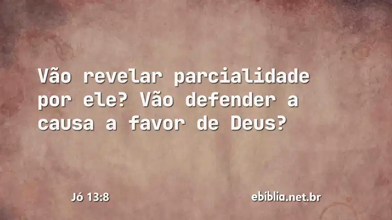 Jó 13:8