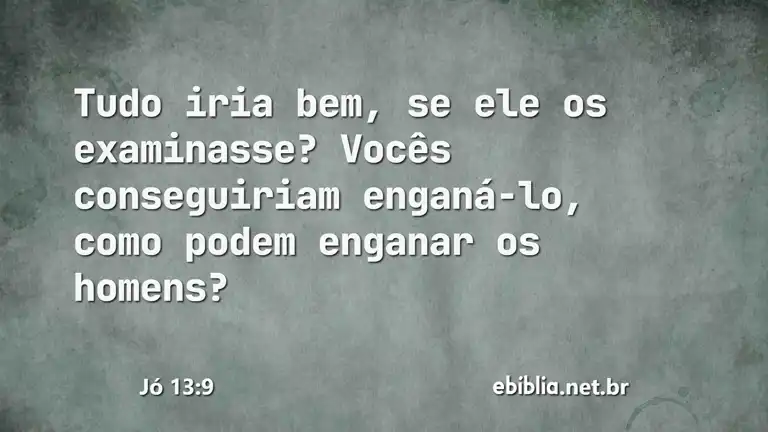 Jó 13:9