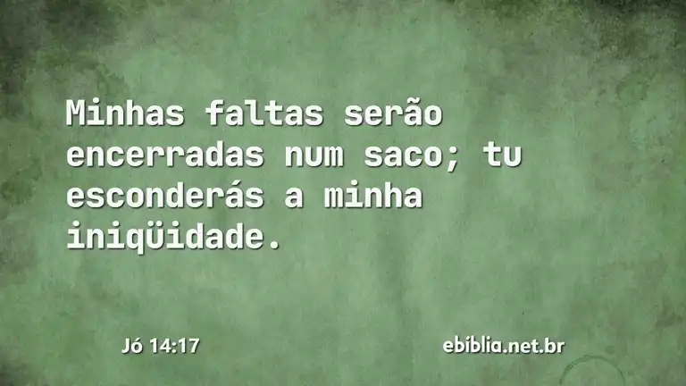 Jó 14:17