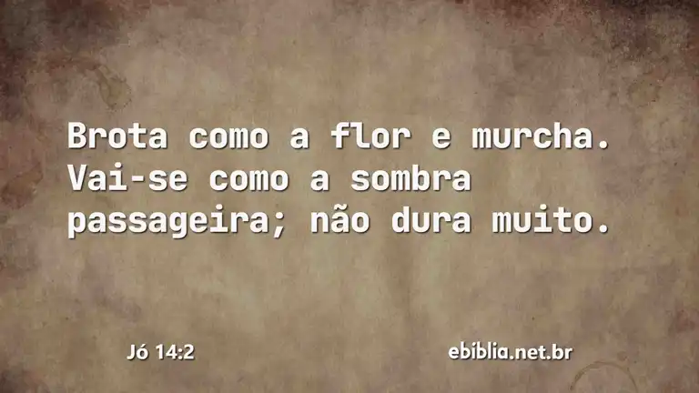 Jó 14:2