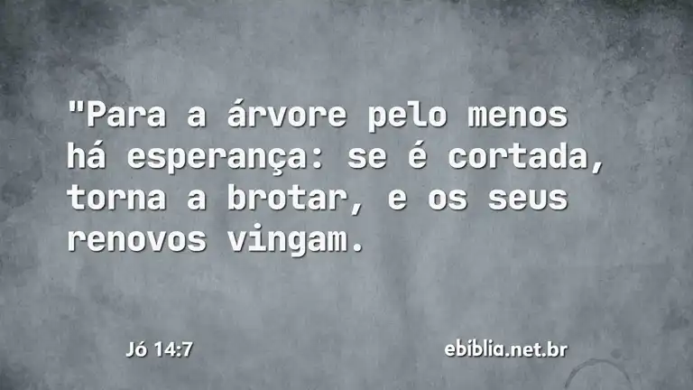 Jó 14:7