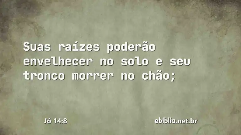 Jó 14:8