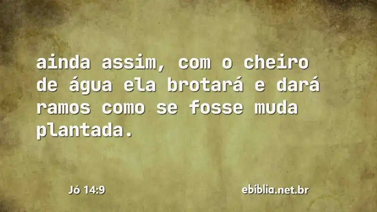 Jó 14:9