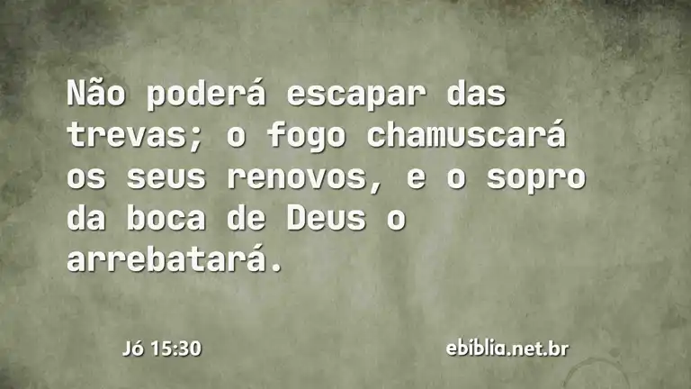 Jó 15:30