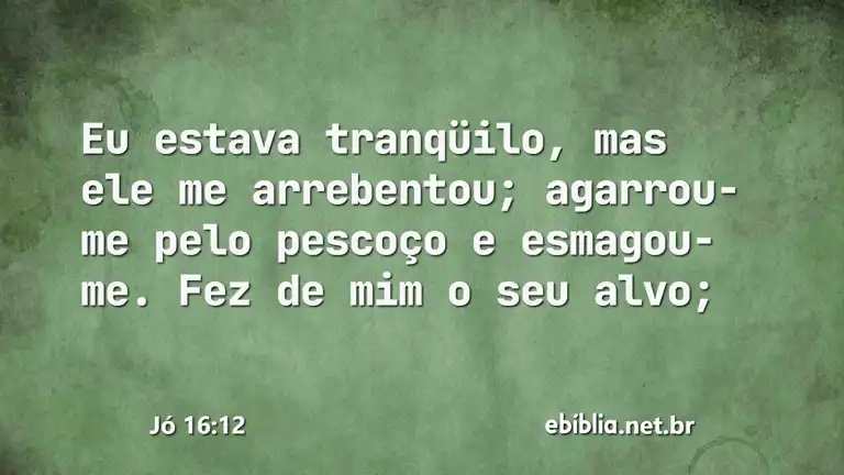 Jó 16:12