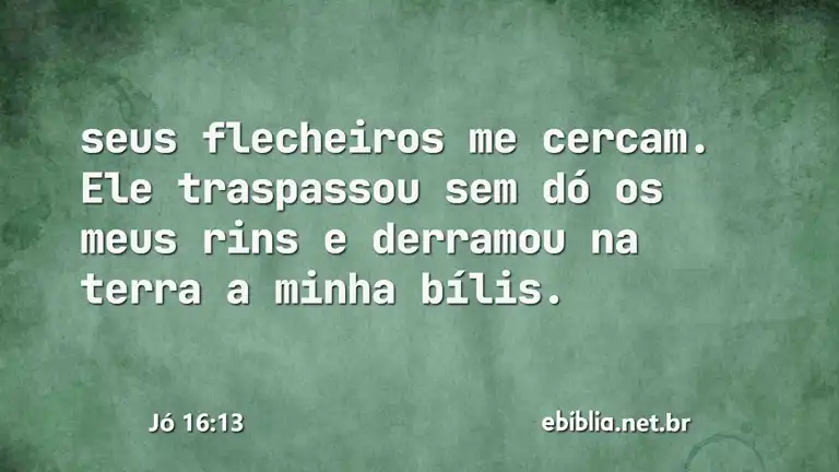 Jó 16:13