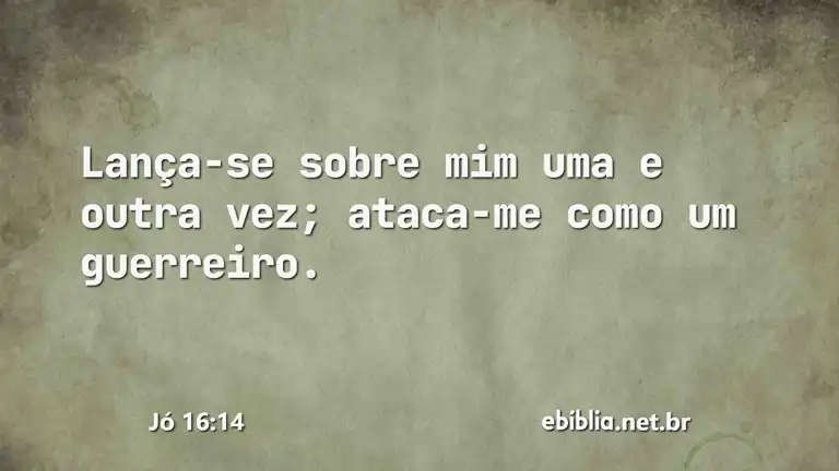 Jó 16:14