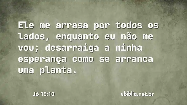 Jó 19:10