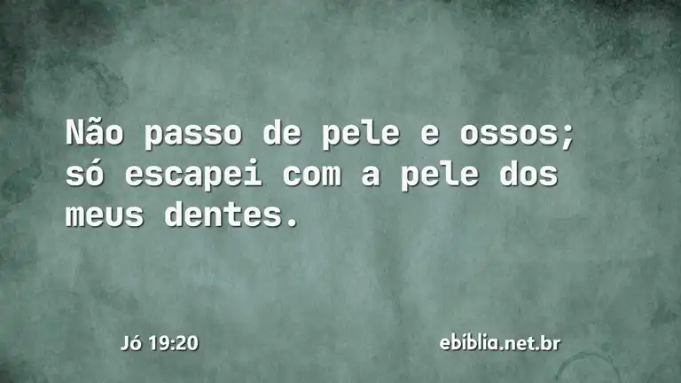 Jó 19:20