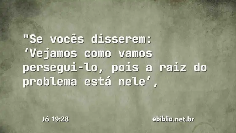 Jó 19:28