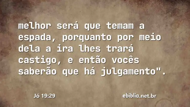 Jó 19:29