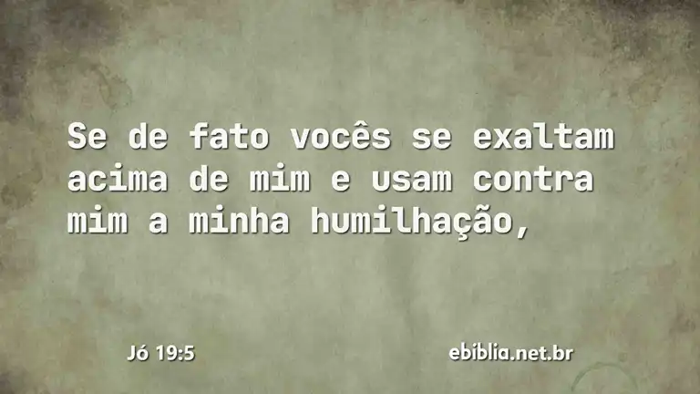 Jó 19:5