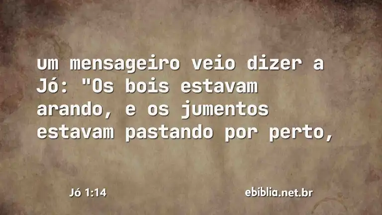 Jó 1:14