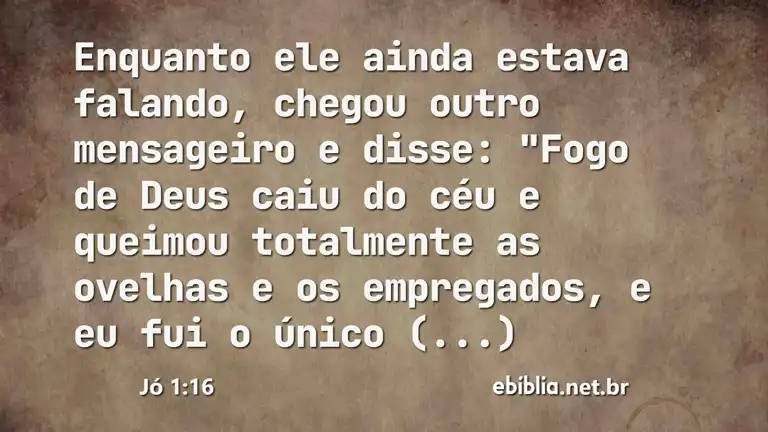 Jó 1:16