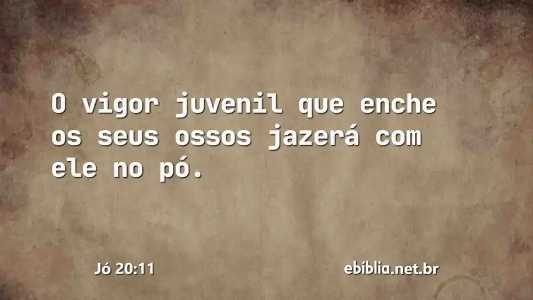 Jó 20:11