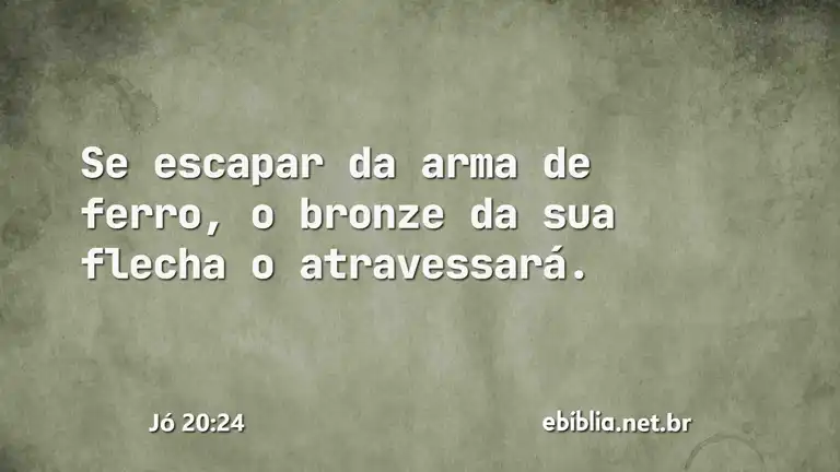 Jó 20:24