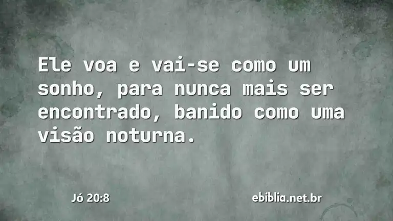 Jó 20:8