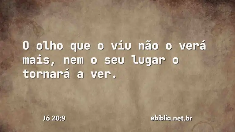 Jó 20:9