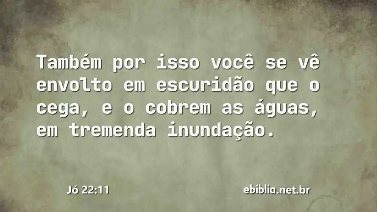 Jó 22:11