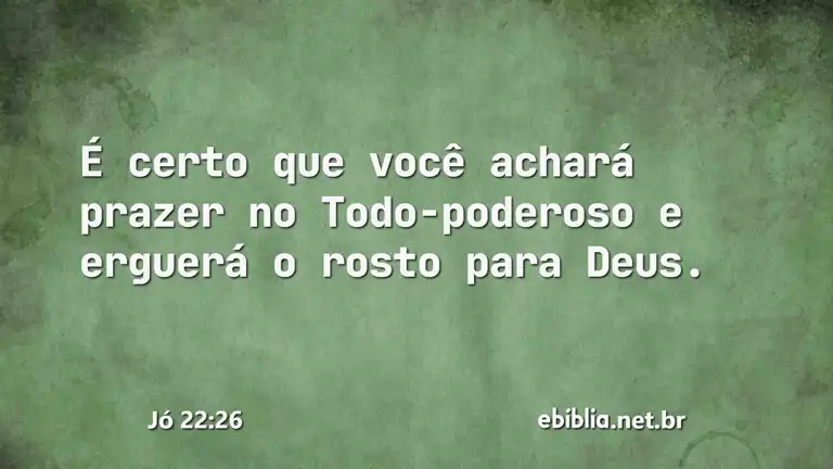 Jó 22:26