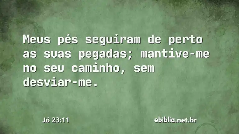 Jó 23:11