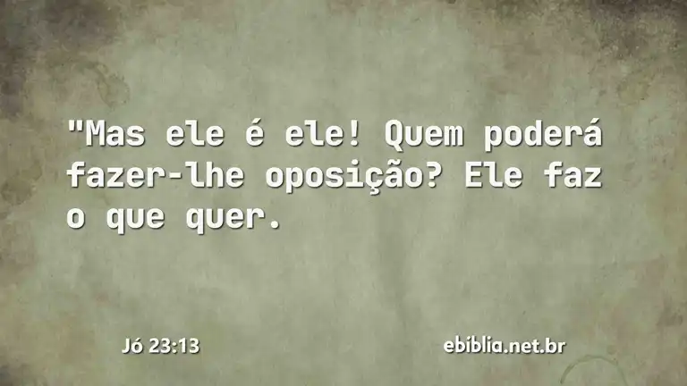 Jó 23:13