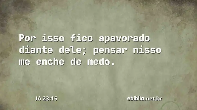 Jó 23:15