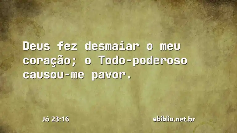 Jó 23:16