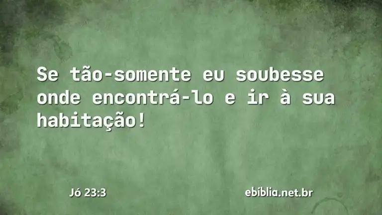 Jó 23:3