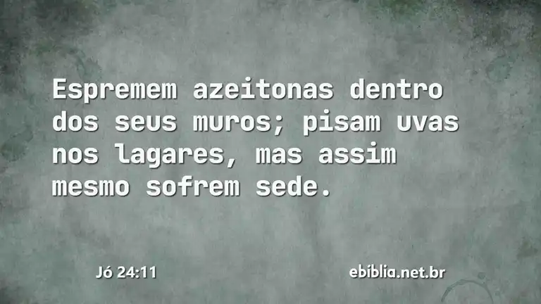 Jó 24:11