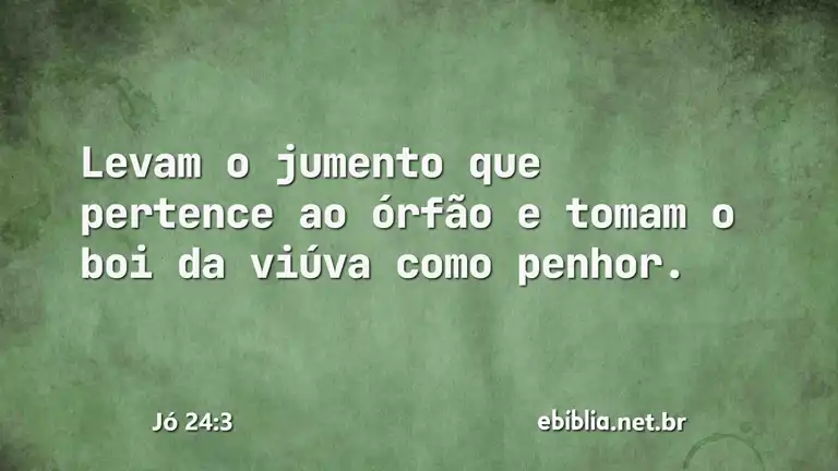 Jó 24:3