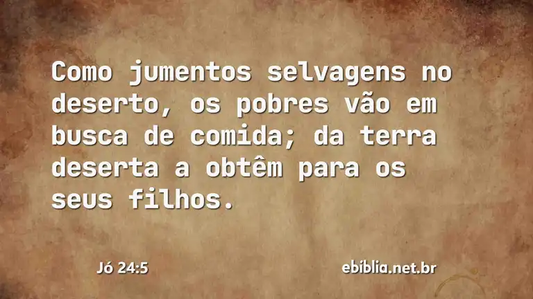 Jó 24:5