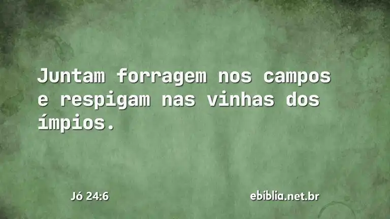 Jó 24:6