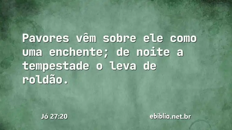 Jó 27:20