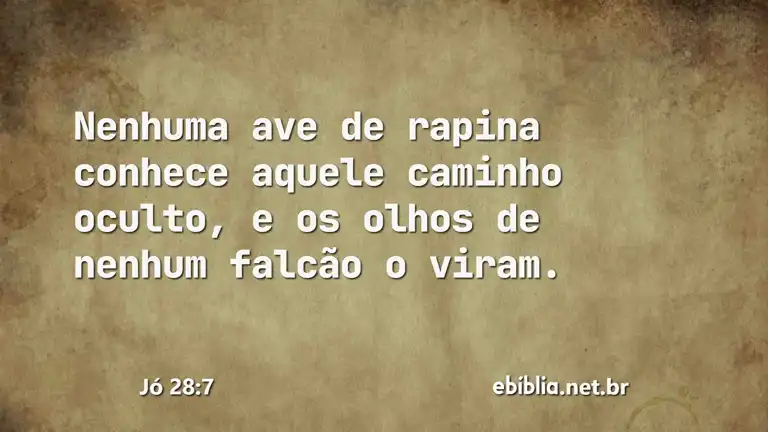 Jó 28:7