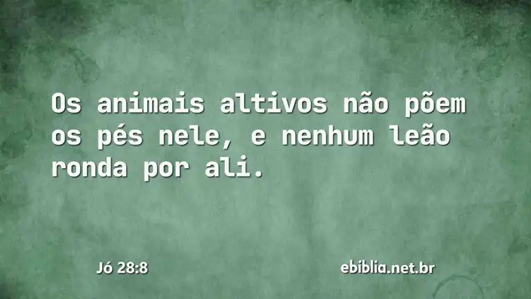 Jó 28:8