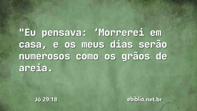 Jó 29:18