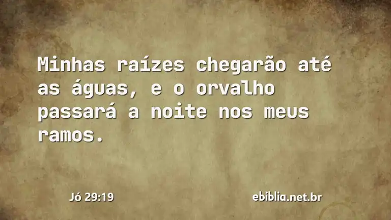 Jó 29:19