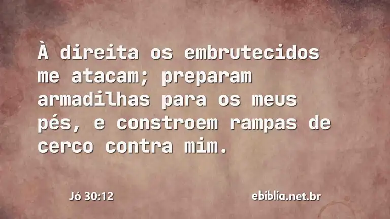 Jó 30:12