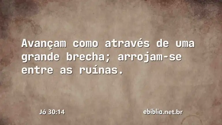 Jó 30:14