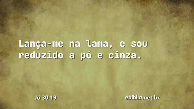 Jó 30:19