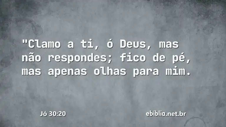 Jó 30:20