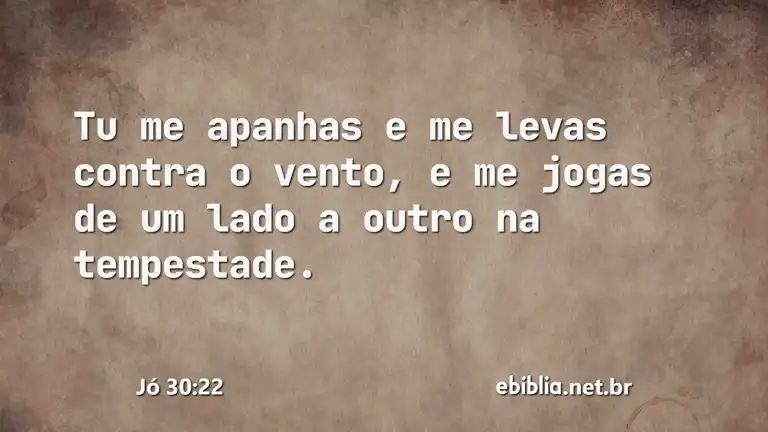 Jó 30:22