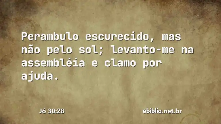 Jó 30:28