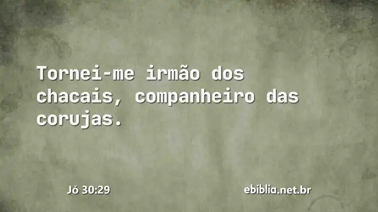 Jó 30:29