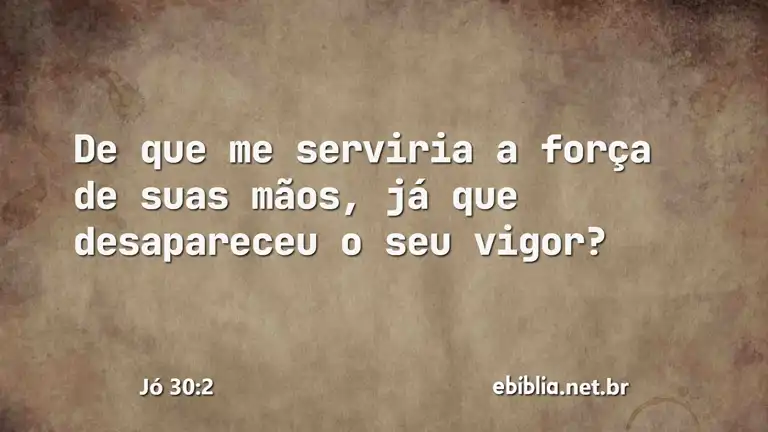 Jó 30:2