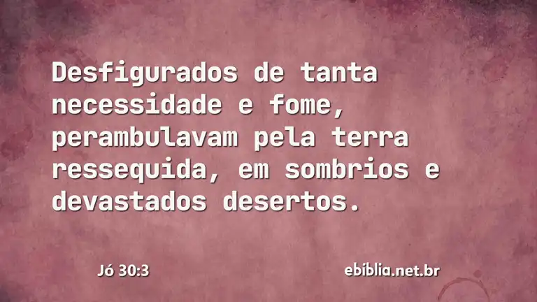 Jó 30:3