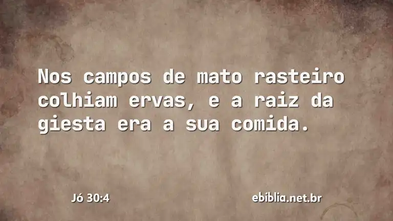 Jó 30:4