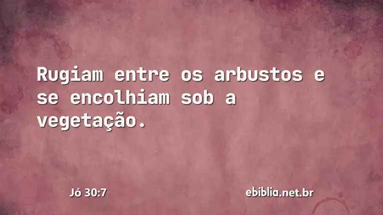 Jó 30:7